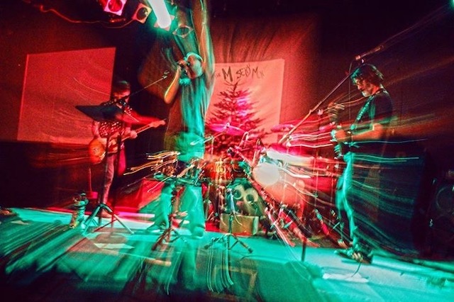 disassturbator band member