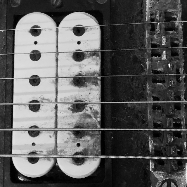 disassturbator band member